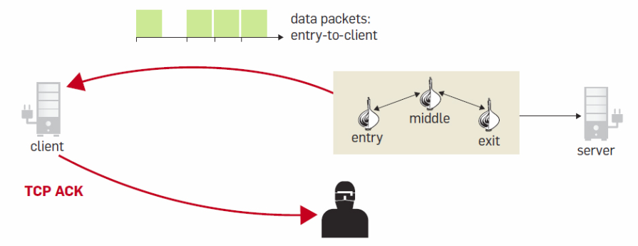 Blockchain Attack Vectors & Vulnerabilities to Smart Contracts